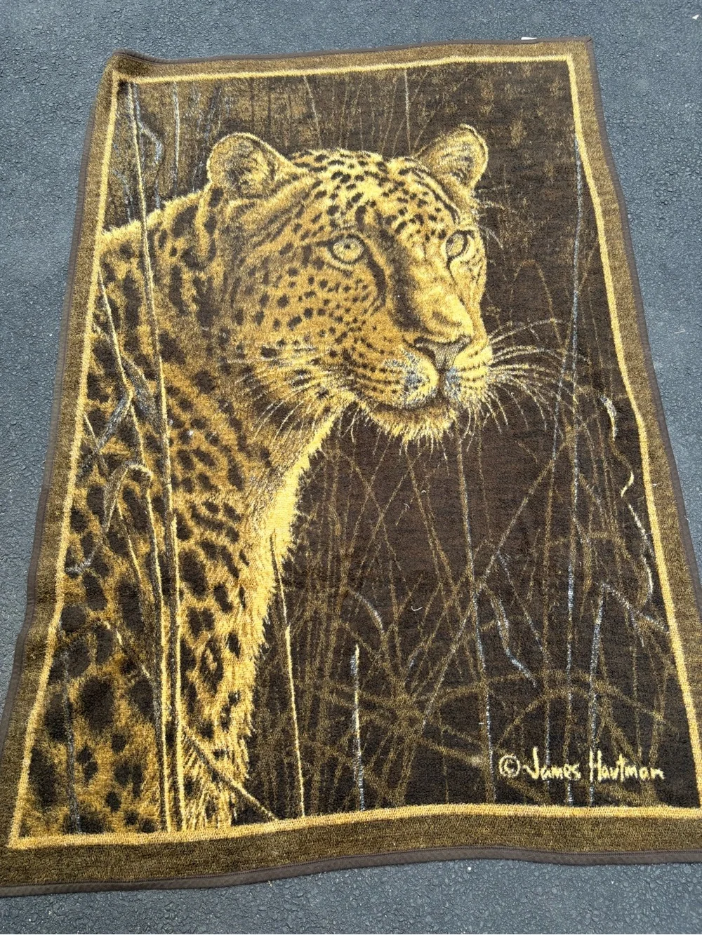 Biederlack Reversible Blanket Throw Cheetah Leopard  James Hautman Brown Gold